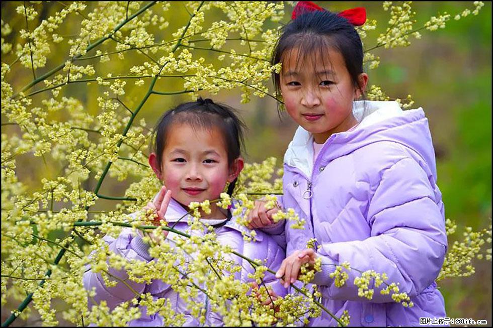 【春天,广西桂林灌阳县向您发出邀请!】米珠山前有片山苍子花在飘香 - 游山玩水 - 博尔塔拉生活社区 - 博尔塔拉28生活网 betl.28life.com