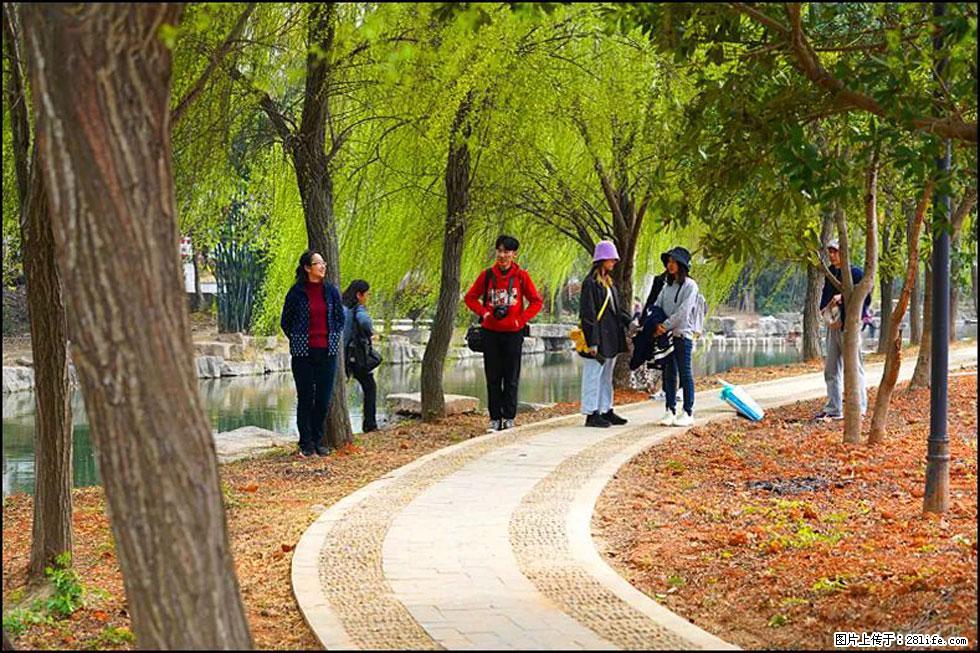 【春天,广西桂林灌阳县向您发出邀请!】江口老街又逢春 - 游山玩水 - 博尔塔拉生活社区 - 博尔塔拉28生活网 betl.28life.com
