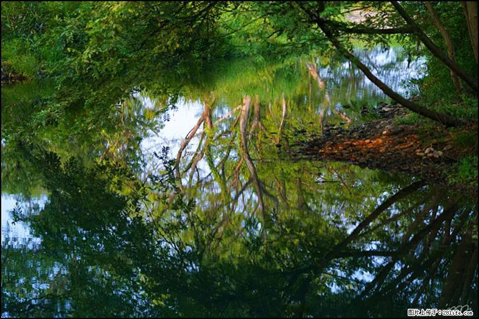 【春天,广西桂林灌阳县向您发出邀请!】熊家寨湿地公园 - 游山玩水 - 博尔塔拉生活社区 - 博尔塔拉28生活网 betl.28life.com