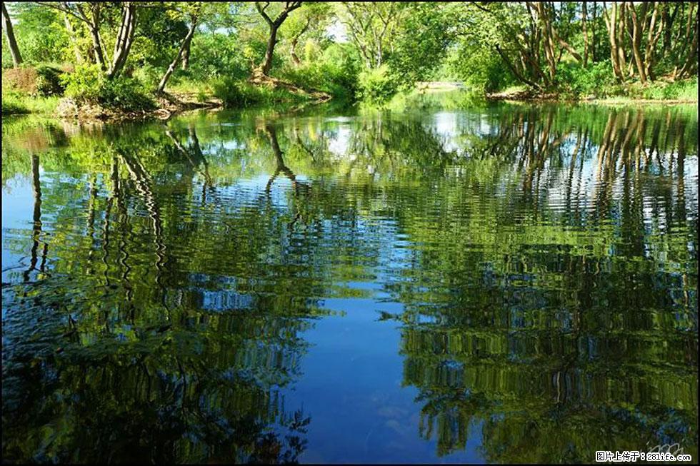 【春天,广西桂林灌阳县向您发出邀请!】熊家寨湿地公园 - 游山玩水 - 博尔塔拉生活社区 - 博尔塔拉28生活网 betl.28life.com