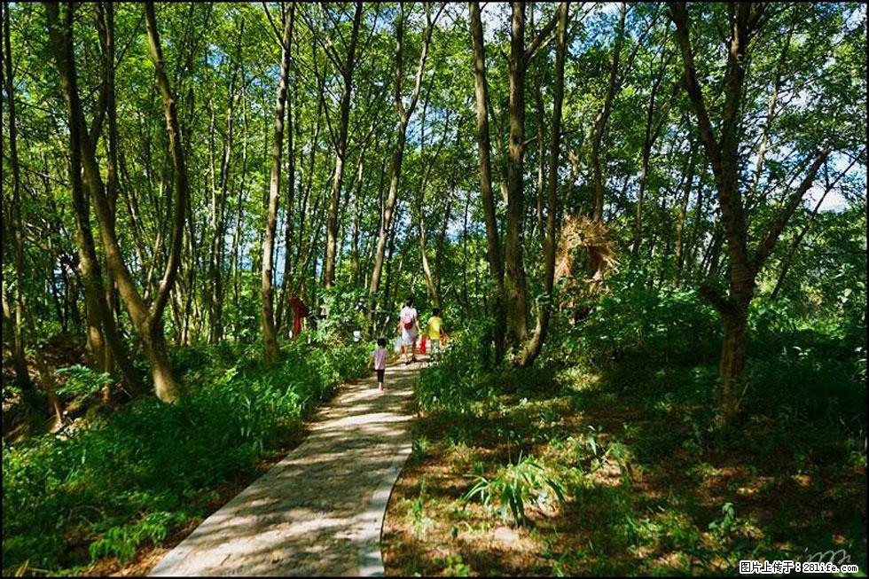 【春天,广西桂林灌阳县向您发出邀请!】熊家寨湿地公园 - 游山玩水 - 博尔塔拉生活社区 - 博尔塔拉28生活网 betl.28life.com