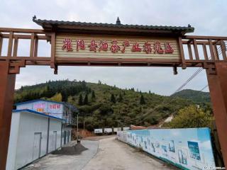 【灌阳县油茶产业示范区】一个有着充实的精神生活的人,对待身外之物自会有一种淡泊的态度 - 博尔塔拉28生活网 betl.28life.com