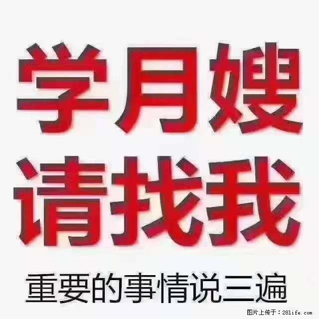 【招聘】月嫂,上海徐汇区 - 其他招聘信息 - 招聘求职 - 博尔塔拉分类信息 - 博尔塔拉28生活网 betl.28life.com