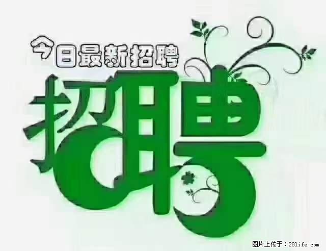 上海隔离酒店招人:55岁以下 男女不限 - 职场交流 - 博尔塔拉生活社区 - 博尔塔拉28生活网 betl.28life.com
