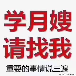 【招聘】月嫂,上海徐汇区 - 博尔塔拉28生活网 betl.28life.com