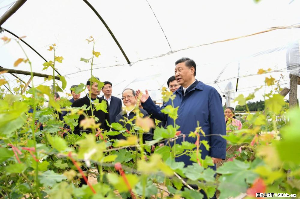 习近平赴广西考察调研 - 博尔塔拉生活资讯 - 博尔塔拉28生活网 betl.28life.com