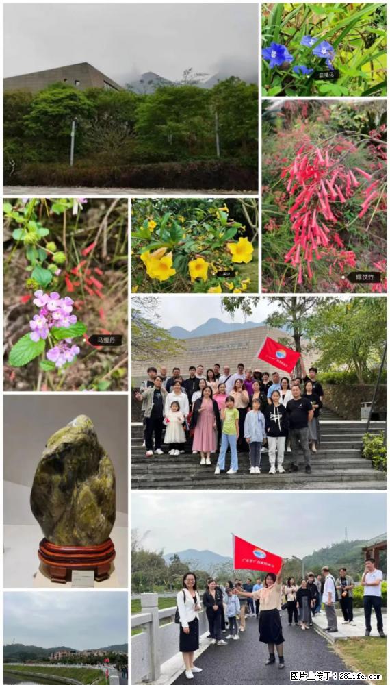 “粤灌文化 美好生活”油茶文化主题活动在广东深圳成功举办 - 博尔塔拉生活资讯 - 博尔塔拉28生活网 betl.28life.com
