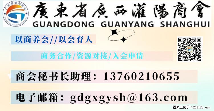 “粤灌文化 美好生活”油茶文化主题活动在广东深圳成功举办 - 博尔塔拉生活资讯 - 博尔塔拉28生活网 betl.28life.com