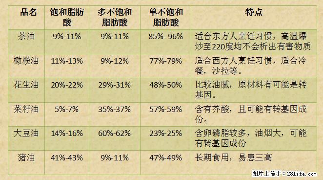 揭秘茶油的5大核心营养成分!被称为人体健康的“守护盾”! - 博尔塔拉生活资讯 - 博尔塔拉28生活网 betl.28life.com