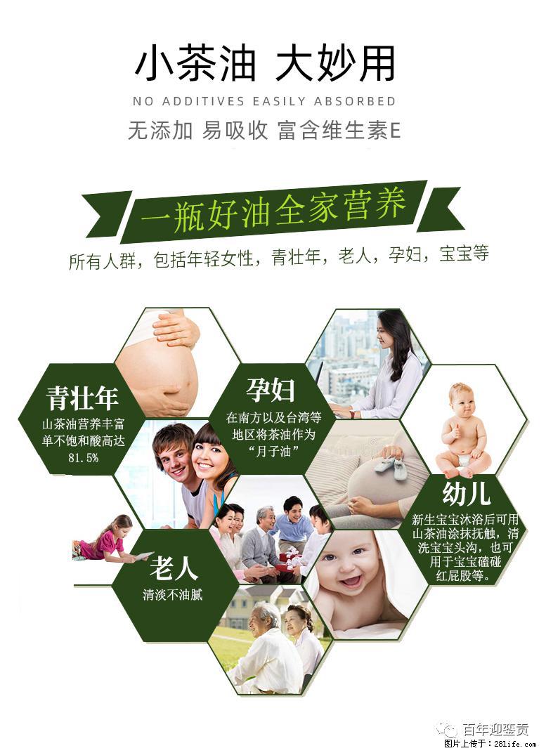 世界没有真相,只有认知,最好的食用油是中国的山茶油! - 博尔塔拉生活资讯 - 博尔塔拉28生活网 betl.28life.com