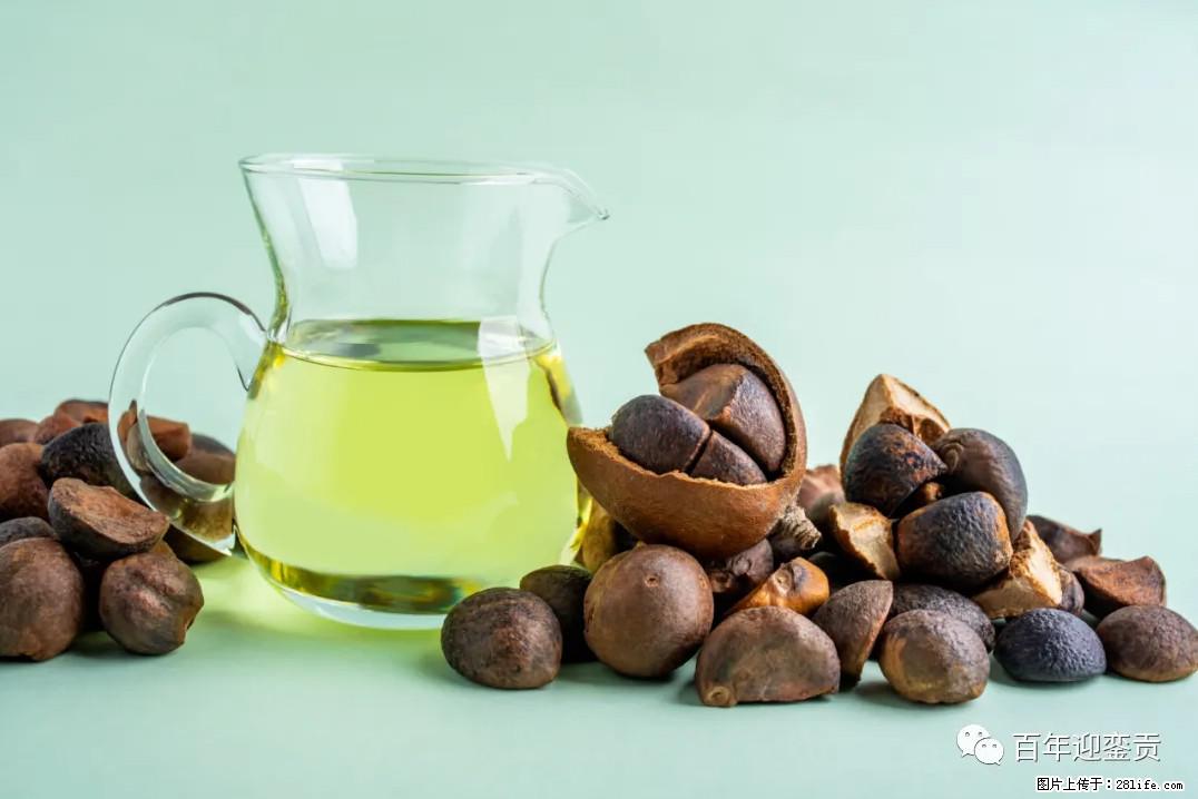 世界没有真相,只有认知,最好的食用油是中国的山茶油! - 博尔塔拉生活资讯 - 博尔塔拉28生活网 betl.28life.com