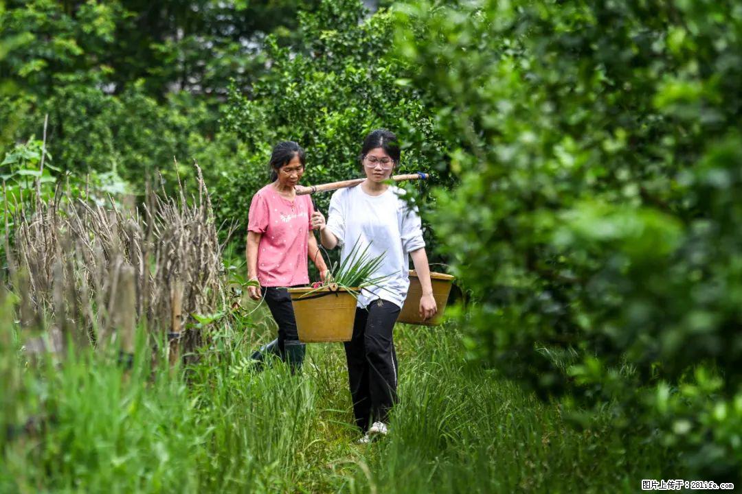 全网追的“扁担女孩”,找了一份暑假工,时薪12元 - 博尔塔拉生活资讯 - 博尔塔拉28生活网 betl.28life.com