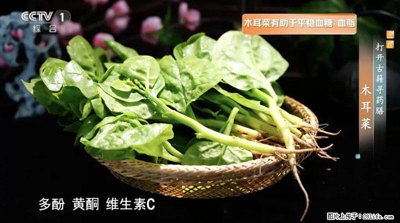 比牛奶补钙还厉害！凉血解毒、稳血糖...这菜冬天必吃，很多人却当草 - 博尔塔拉生活资讯 - 博尔塔拉28生活网 betl.28life.com