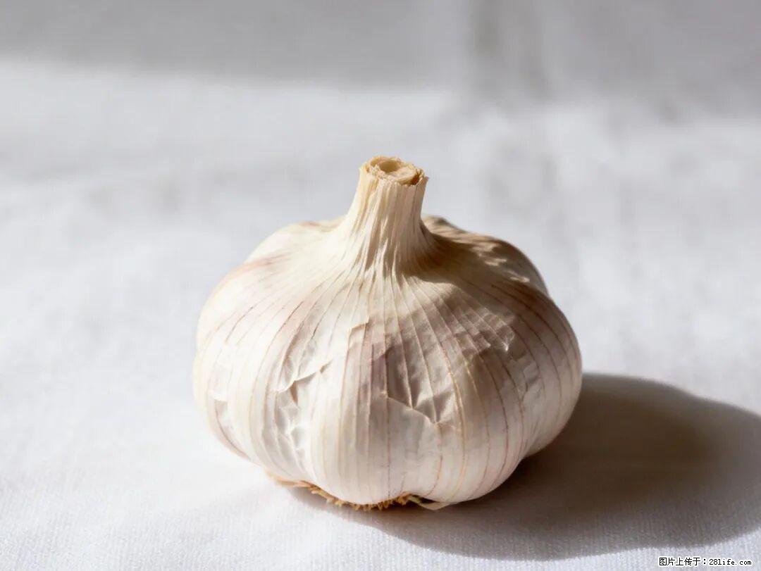 关于大蒜，除了“天然抗生素”，这4个谣言更该警惕! - 博尔塔拉生活资讯 - 博尔塔拉28生活网 betl.28life.com