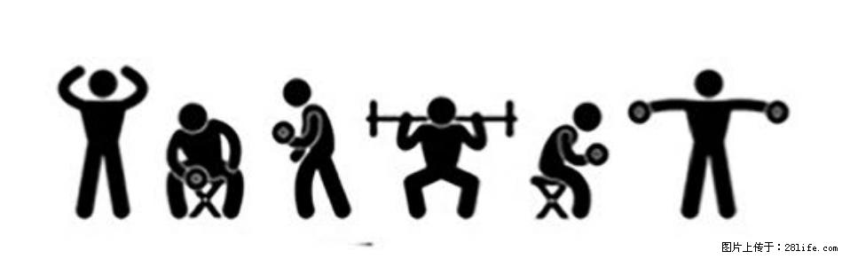 坚持这种运动6个月，心脏有了显著变化！不是跑步，也不是走路 - 博尔塔拉生活资讯 - 博尔塔拉28生活网 betl.28life.com