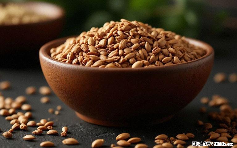 这三苦是三高“克星”，心血管干净不易堵！每天吃一点，指标慢慢降下来~ - 博尔塔拉生活资讯 - 博尔塔拉28生活网 betl.28life.com