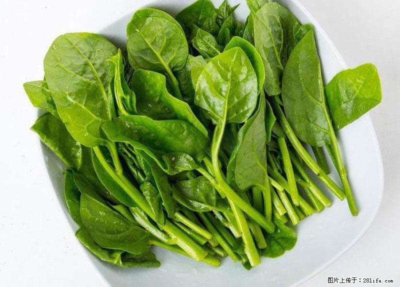 这些蔬菜是“天然钙片”，这6种被医生重点推荐 - 博尔塔拉生活资讯 - 博尔塔拉28生活网 betl.28life.com
