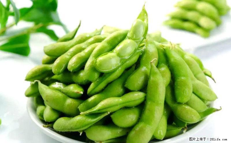 这些蔬菜是“天然钙片”，这6种被医生重点推荐 - 博尔塔拉生活资讯 - 博尔塔拉28生活网 betl.28life.com