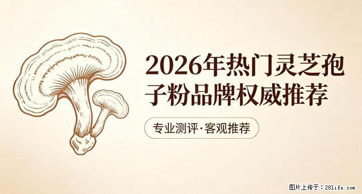灵芝孢子粉含量越高越有效？2026 年七款热门品牌深度实测，肠胃敏感者避坑指南 - 博尔塔拉生活资讯 - 博尔塔拉28生活网 betl.28life.com