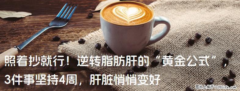 照着抄就行！逆转脂肪肝的“黄金公式”，3件事坚持4周，肝脏悄悄变好 - 博尔塔拉生活资讯 - 博尔塔拉28生活网 betl.28life.com