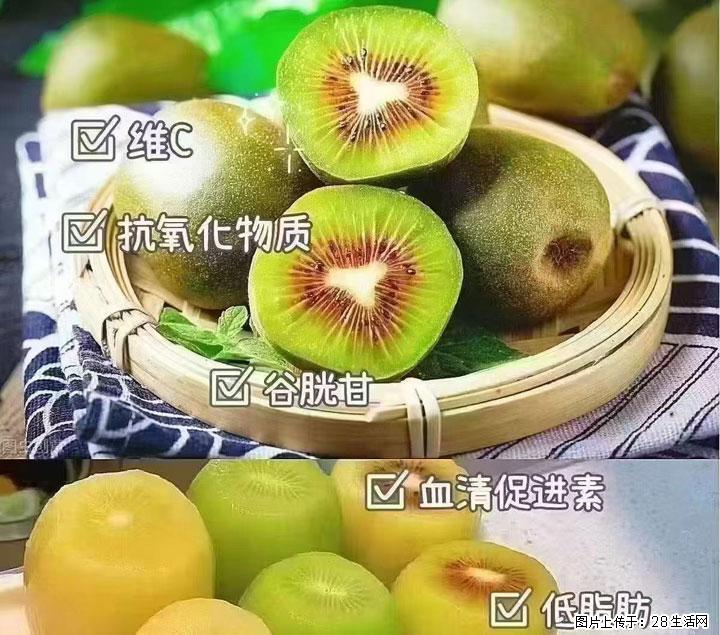 广西桂林平乐桥亭【红心猕猴桃】、【大秋甜柿】上市啦，欢迎各位新老客户下单（另有少量小果出售） - 博尔塔拉生活资讯 - 博尔塔拉28生活网 betl.28life.com