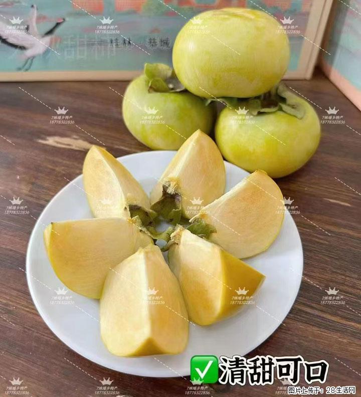 广西桂林平乐桥亭【红心猕猴桃】、【大秋甜柿】上市啦，欢迎各位新老客户下单（另有少量小果出售） - 博尔塔拉生活资讯 - 博尔塔拉28生活网 betl.28life.com